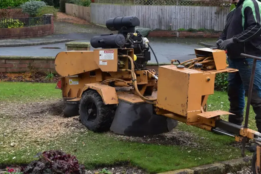 How Stump Grinding Affects Soil And Plant Health in Somerset, NJ