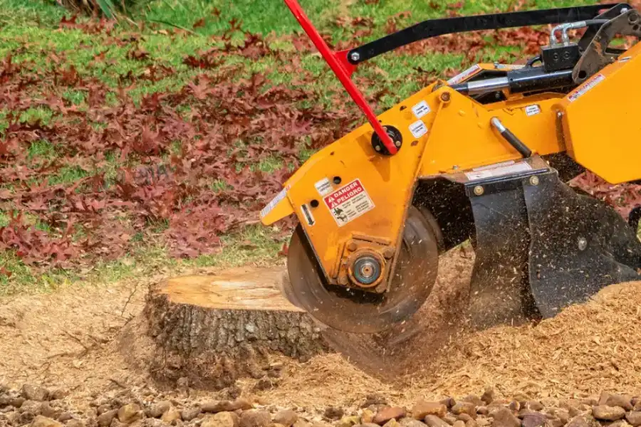 Professional Stump Grinding in Somerset, NJ
